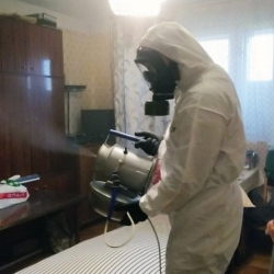 Дезинфекция от клопов в Данках