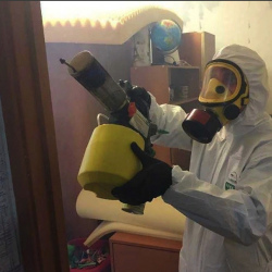 Уничтожение клопов в квартире. Данки